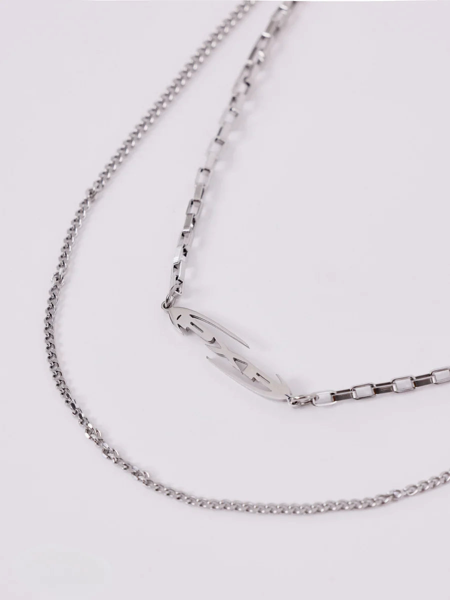 Catena PXP doppia acciaio inox